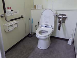 車椅子のまま入れ手すりの装備されたバリアフリートイレの写真